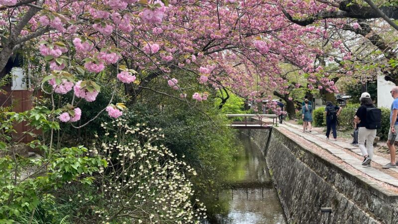 Kyoto: 4-Hour Private Guided Tour of the Silver Pavilion - Photo Opportunities Galore