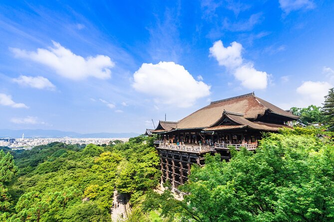 Kyoto 6hr Instagram Highlights Private Tour With Licensed Guide - Transportation and Fees