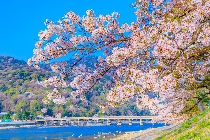 Kyoto 6hr Instagram Highlights Private Tour With Licensed Guide - Exploring Kyotos Highlights