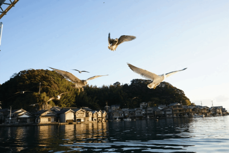 Kyoto: Amanohashidate and Ine Bay Private Trip - Seeking Blessings at Chionji