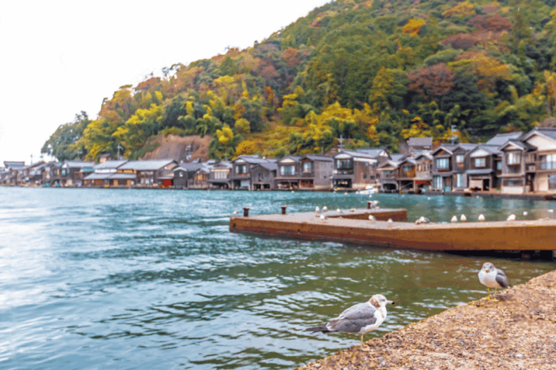 Kyoto: Amanohashidate and Ine Bay Private Trip - Relaxing in Outdoor Hot Springs