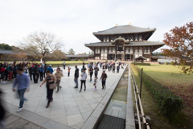 Kyoto and Nara 1 Day Trip - Golden Pavilion and Todai-Ji Temple From Kyoto - Highlights of Nara