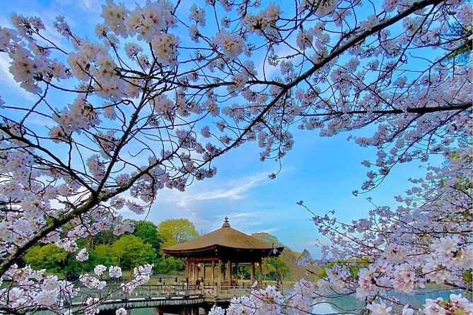 Kyoto and Nara Day Tour From Osaka and Kyoto - Inclusions