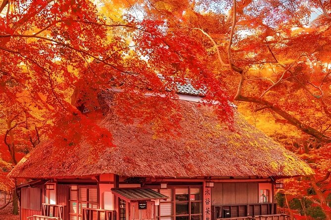 Kyoto and Nara Day Tour From Osaka and Kyoto - Meeting and Pickup