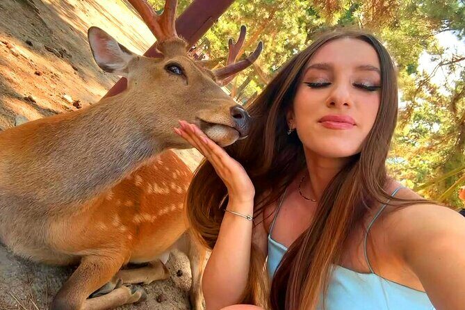 Kyoto and Nara Day Tour From Osaka with Deer Sightings - What’s Included and What You Should Budget For