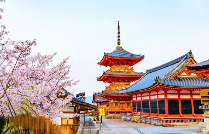 Kyoto and Nara Day Tour With Kiyomizu-Dera,Nara Park&Temple - Itinerary Highlights
