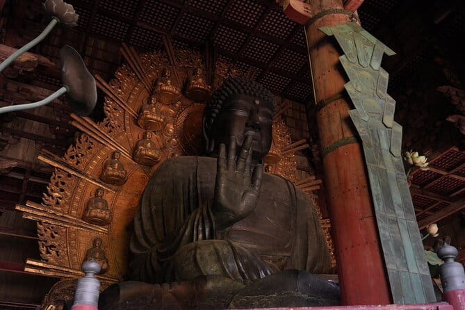 Kyoto and Nara in 1 Day in Fushimi Inari and Deer Park - Inclusions