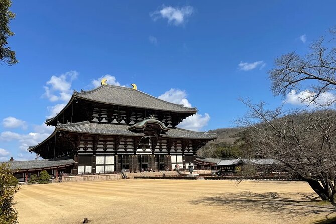 Kyoto and Nara Park One Day Tour With Lunch From Osaka/Kyoto - Kinkakuji Temple