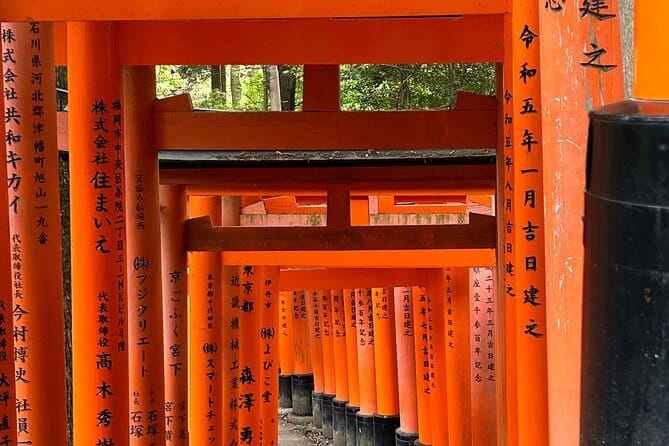 KYOTO and NARA Private Guided Tour With FREE ENTRANCE FEE - Getting the Most Out of Your Tour
