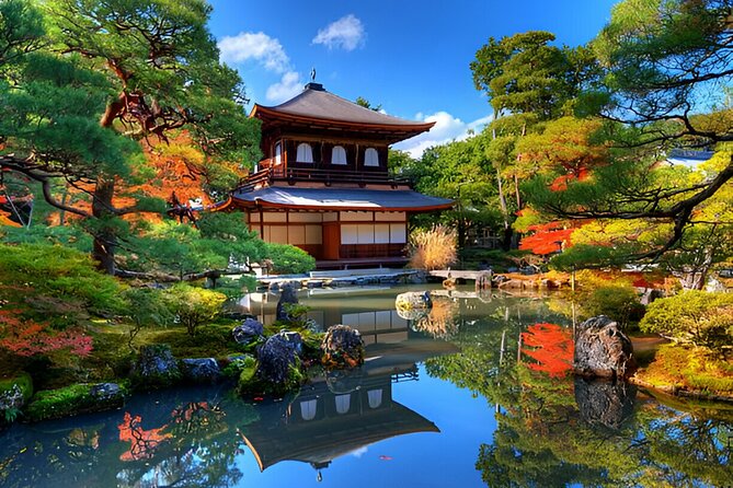 Kyoto and Nara Private Trip - Discovering the Wonders of Nara Park