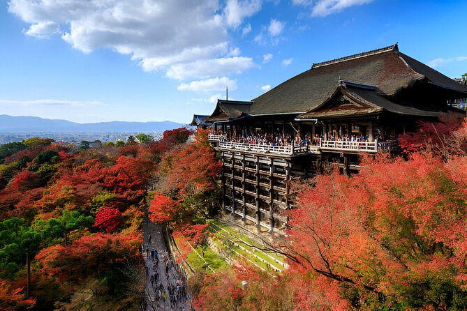 Kyoto and Nara Private Trip - Visiting Todaiji Temple and Kasuga Taisha Shrine