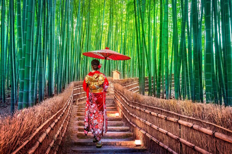 Kyoto: Arashiyama and Miyama Day Trip With Tofu Cuisine - Key Points