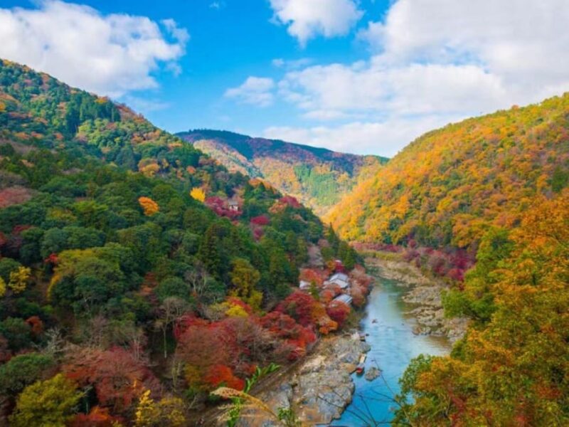Kyoto: Arashiyama and Sanzen In Temple Day Tour - Inclusions