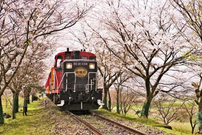 Kyoto: Arashiyama and Sanzen In Temple Day Tour - Arashiyama District Exploration