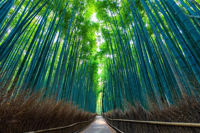 Kyoto Arashiyama Bamboo Forest & Garden Half-Day Walking Tour - Inclusions