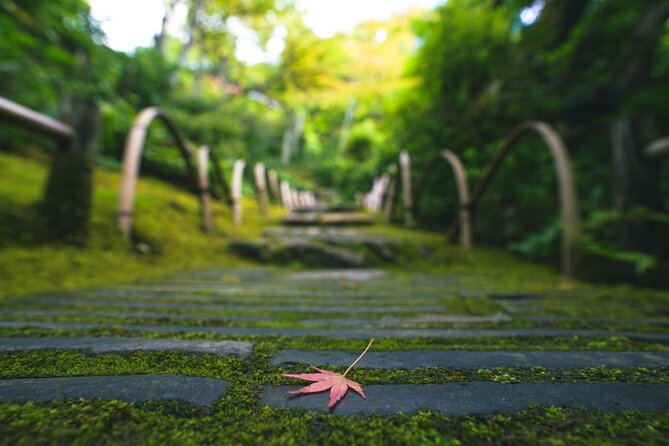 Kyoto Arashiyama Bamboo Forest & Garden Half-Day Walking Tour - Personalized Attention