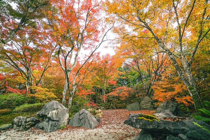 Kyoto Arashiyama Bamboo Forest & Garden Half-Day Walking Tour - Lunch Options