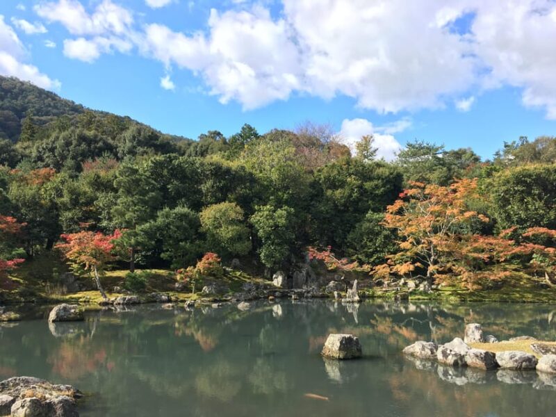 Kyoto: Arashiyama Bamboo Grove, Monkey Mountain Walking Tour - Exclusions