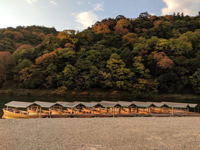 Kyoto: Arashiyama Bamboo Grove, Monkey Mountain Walking Tour - Frequently Asked Questions