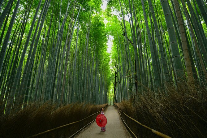 Kyoto: Arashiyama Bamboo, Temple, Matcha, Monkeys & Secret Spots - Curious Monkeys