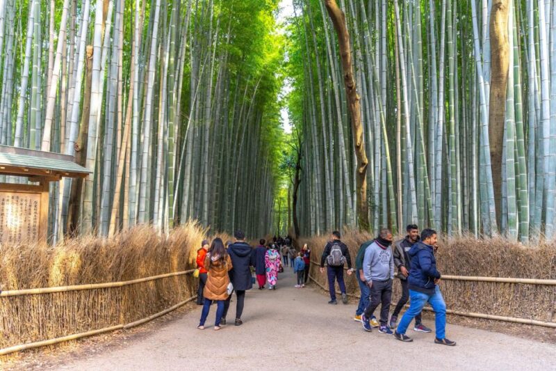 Kyoto: Arashiyama Forest Trek With Authentic Zen Experience - Key Points