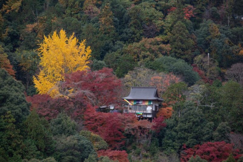 Kyoto: Arashiyama Forest Trek With Authentic Zen Experience - Discover Nonomiya Shrine