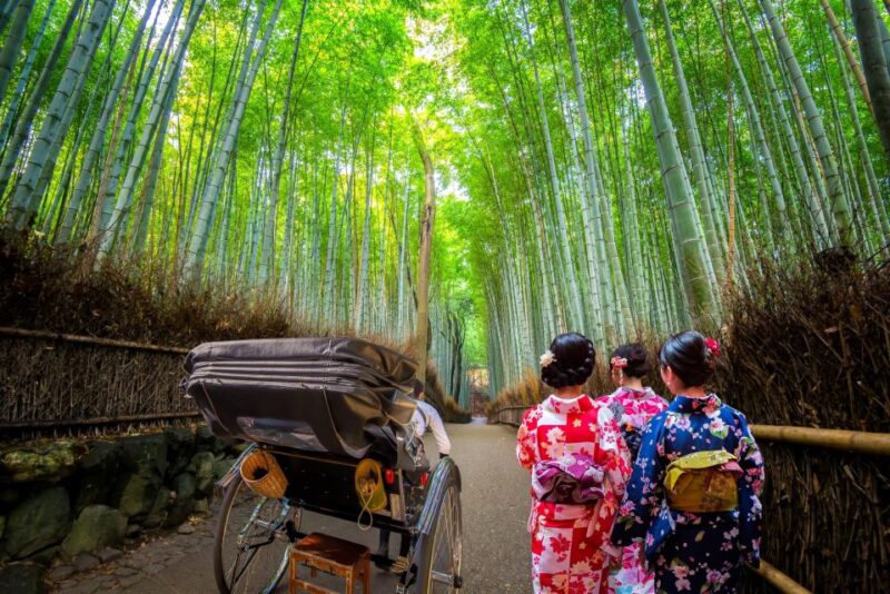 Kyoto: Arashiyama Forest Trek With Authentic Zen Experience - Hike to Daihikaku Senkoji