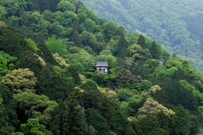Kyoto: Arashiyama Forest Trek With Authentic Zen Experience - Wander the Kimono Forest