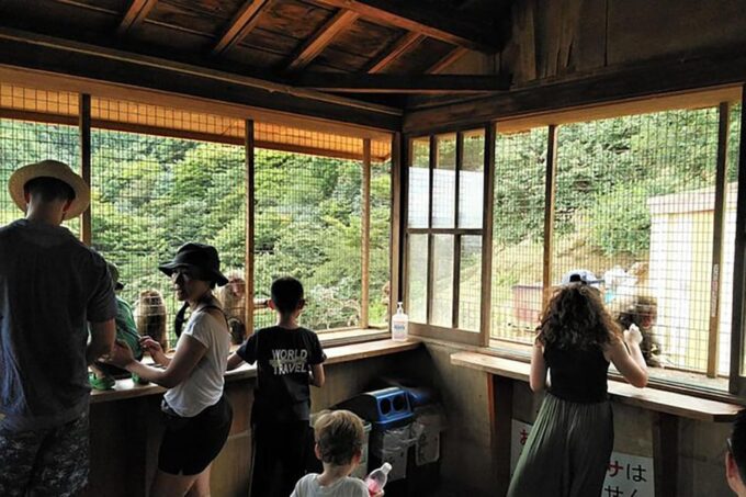 Kyoto Arashiyama & Golden Pavilion One-Day Walking Tour - FAQ