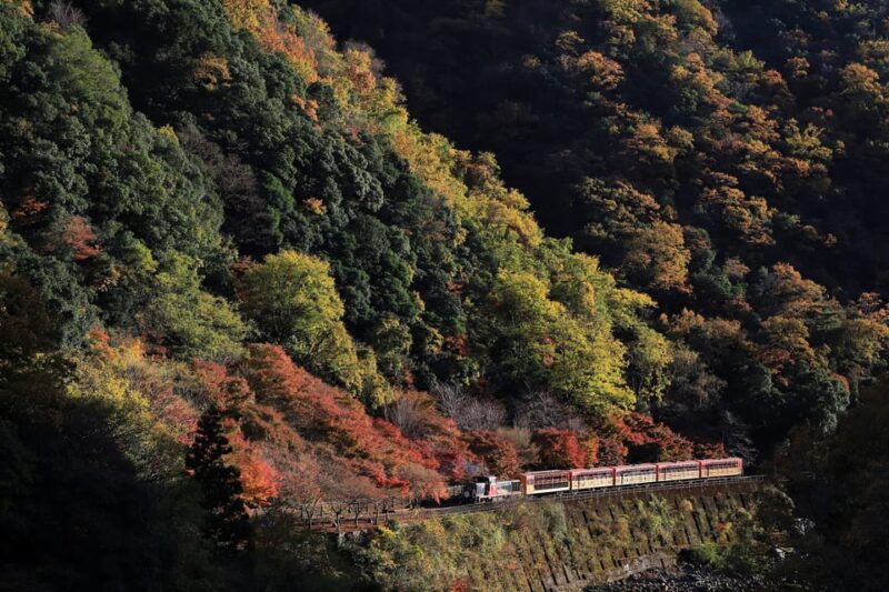 Kyoto: Arashiyama Tour With Optional Sagano Romantic Train - Tour Experience and Highlights