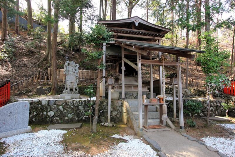 Kyoto: Arashiyama Tour With Optional Sagano Romantic Train - Important Information