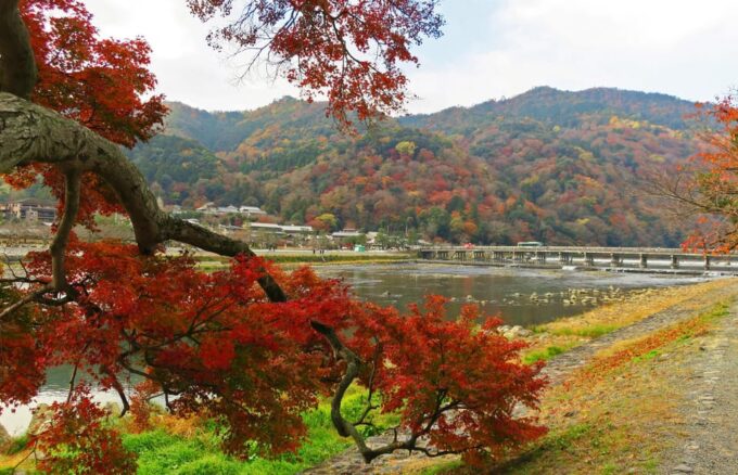 Kyoto: Arashiyama Tour With Optional Sagano Romantic Train - Frequently Asked Questions