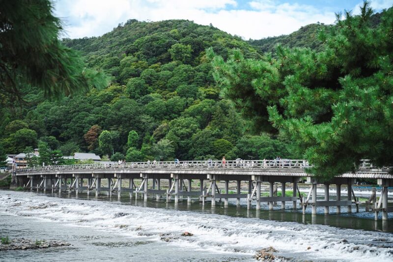 Kyoto: Arashiyama Walking Tour With Local Guide - Tenryuji Temple Exploration