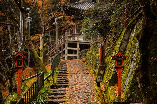 Kyoto Bamboo Forest Electric Bike Tour - Group Size and Cost