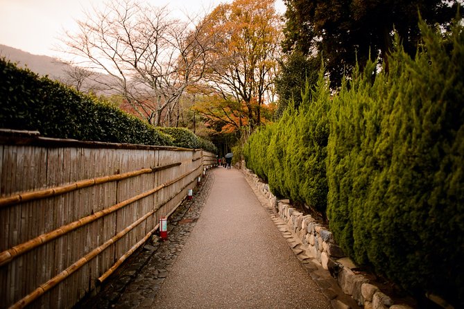 Kyoto Bamboo Forest Electric Bike Tour - Physical Fitness Level