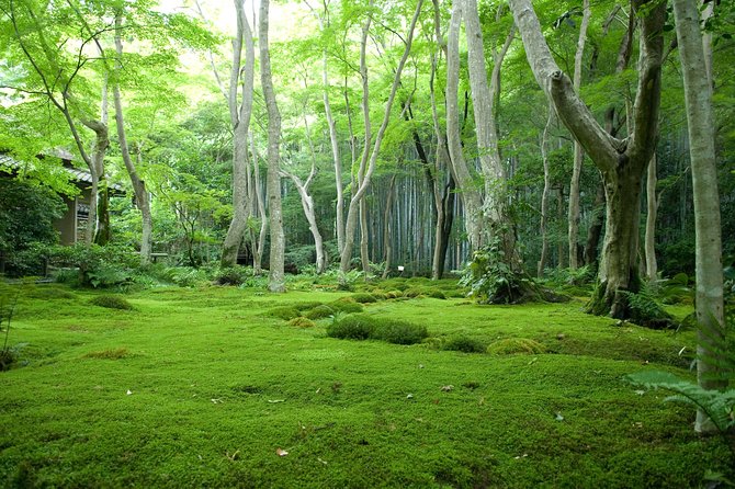 Kyoto Bamboo Forest Electric Bike Tour - Cancellation and Refund Policy
