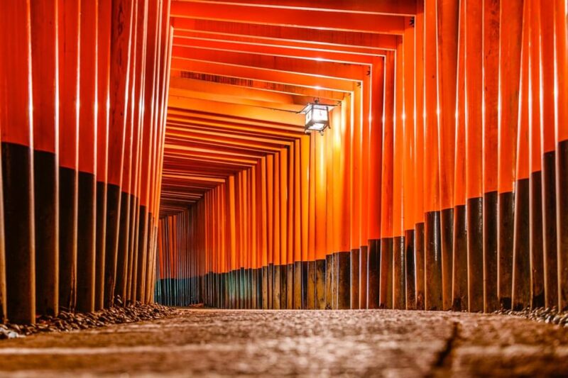 Kyoto: Best of the City in One Day Tour With Licensed Guide - Nijo Castle