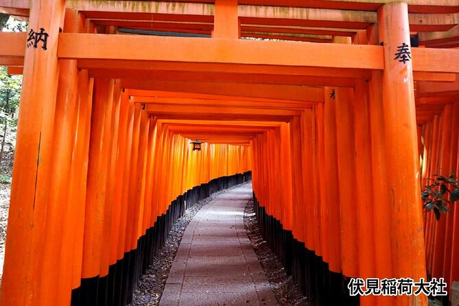Kyoto Bus Tour: Arashiyama, Kinkaku-ji Review - Key Points