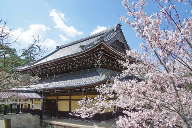 Kyoto Cherry Blossom With Miyako Odori 1 Day Walking Tour - Additional Information