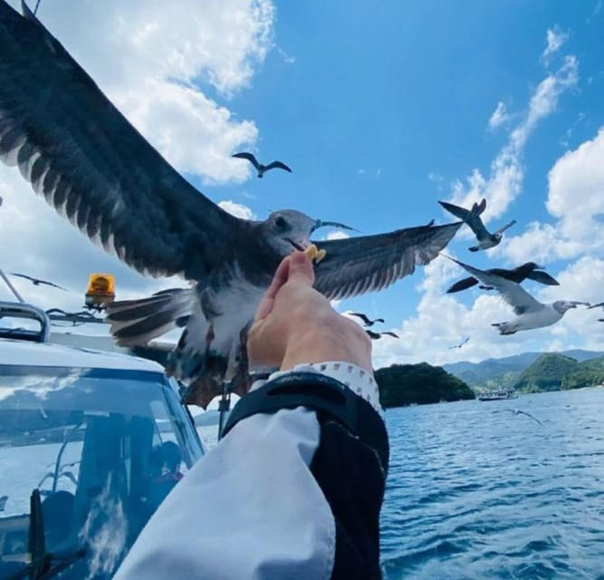 Kyoto Coast, Amanohashidate & Ine Bay One Day Trip - Important Information