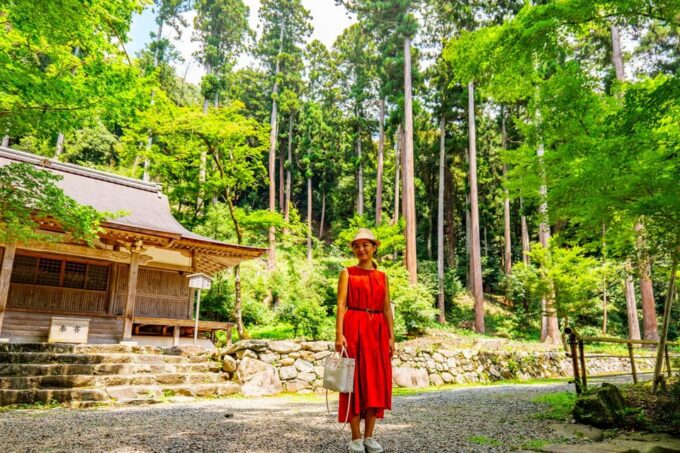 Kyoto Countryside Tour - Inclusions