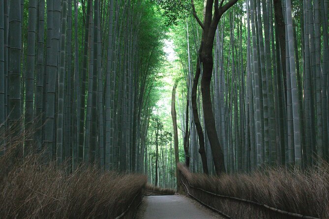 Kyoto Culinary Tour With a Chef! - Inclusions