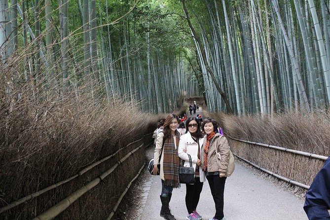 KYOTO Custom Tour With Private Car and Driver (Max 9 Pax) - Entrance Fees and Accommodation Included