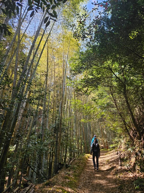Kyoto: Customed Bike Tour - Itinerary and Highlights