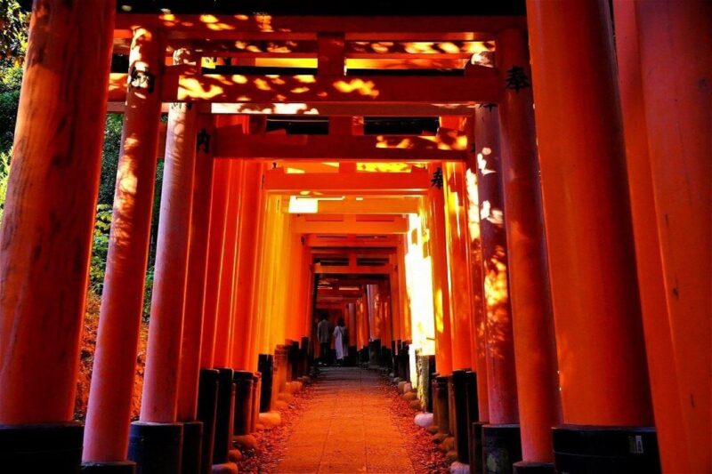Kyoto Customise Private Tour With English-Speaking Driver - Inclusions and Accessibility
