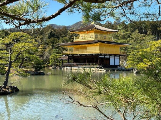 Kyoto Customise Private Tour With English-Speaking Driver - Arashiyama Bamboo Forest: Tranquil Stroll Through the Verdant Grove