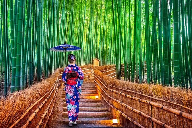 Kyoto Customizable Day Tour With Guide and Vehicle - Inclusions and Exclusions