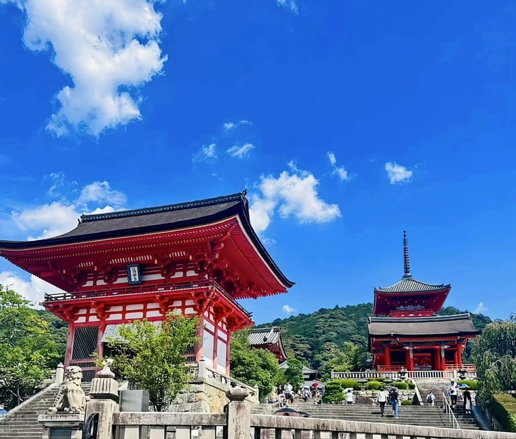 Kyoto: Customized One Day Car Tour - Customizing Itinerary Preferences