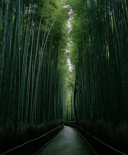 Kyoto: Customized One Day Car Tour - Private Car Transportation Included
