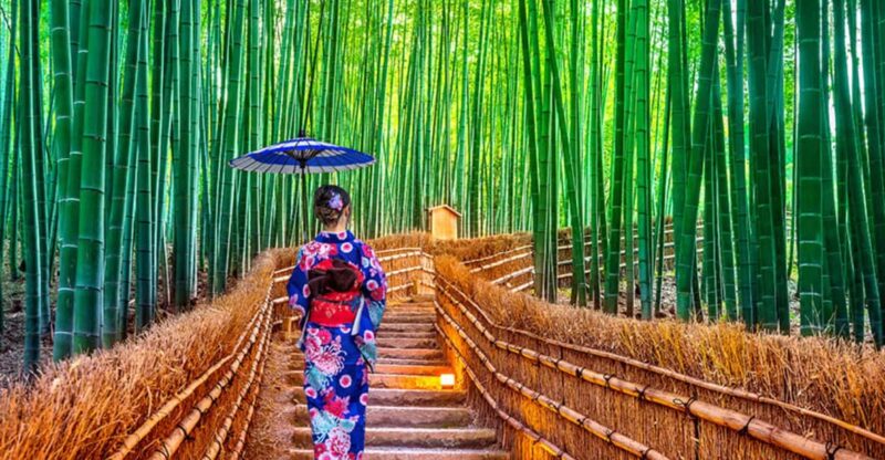 Kyoto Day Tour With Certified Tour Guide & Luxury Vehicle - Itinerary
